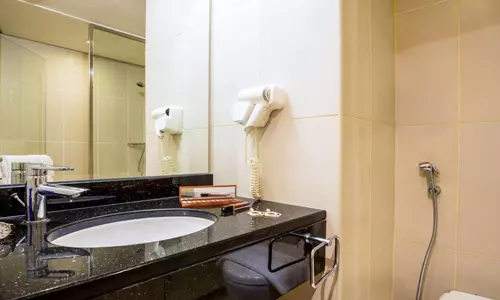 هتل آیبیس مال آف د امارات دبی